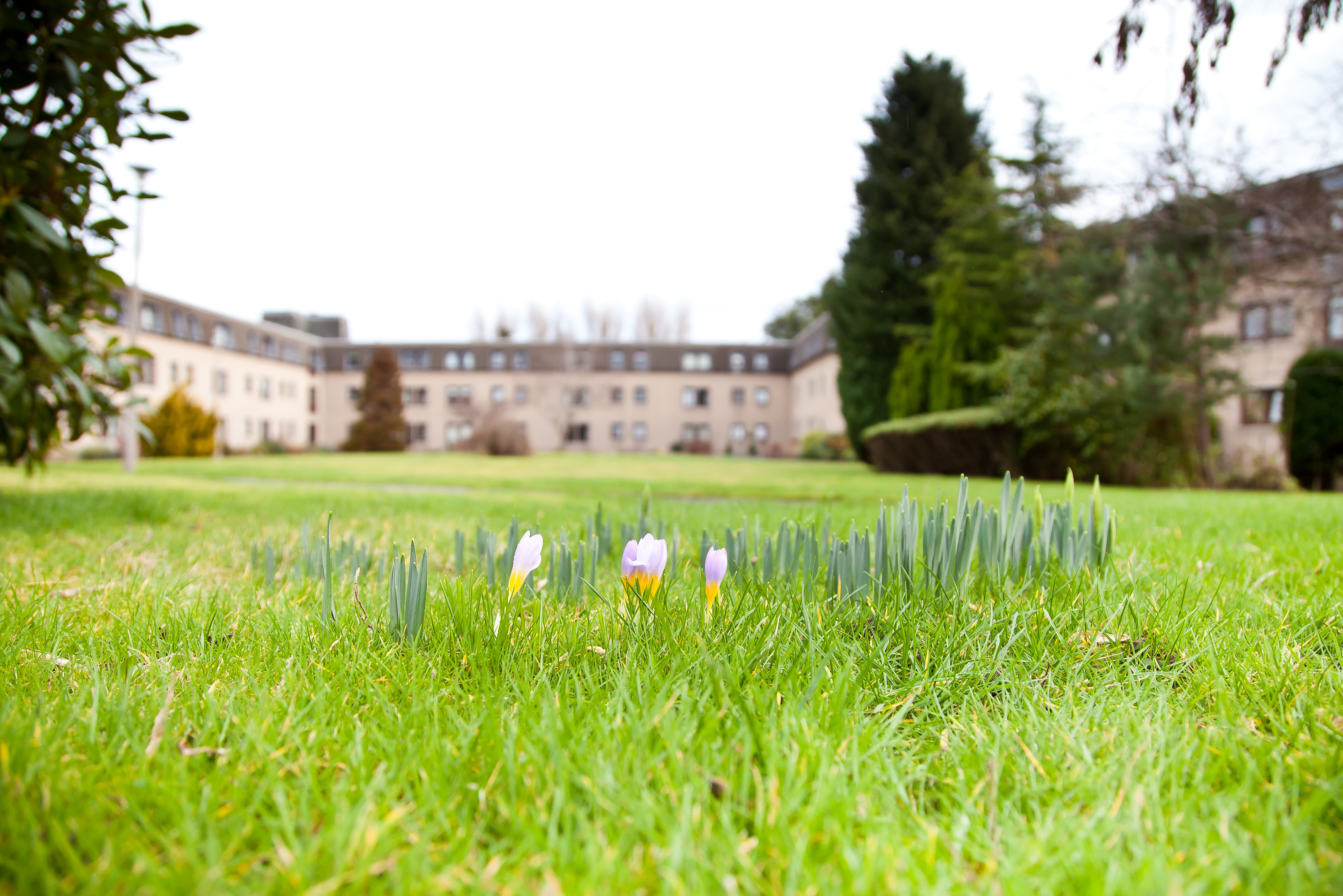 Frequently asked questions