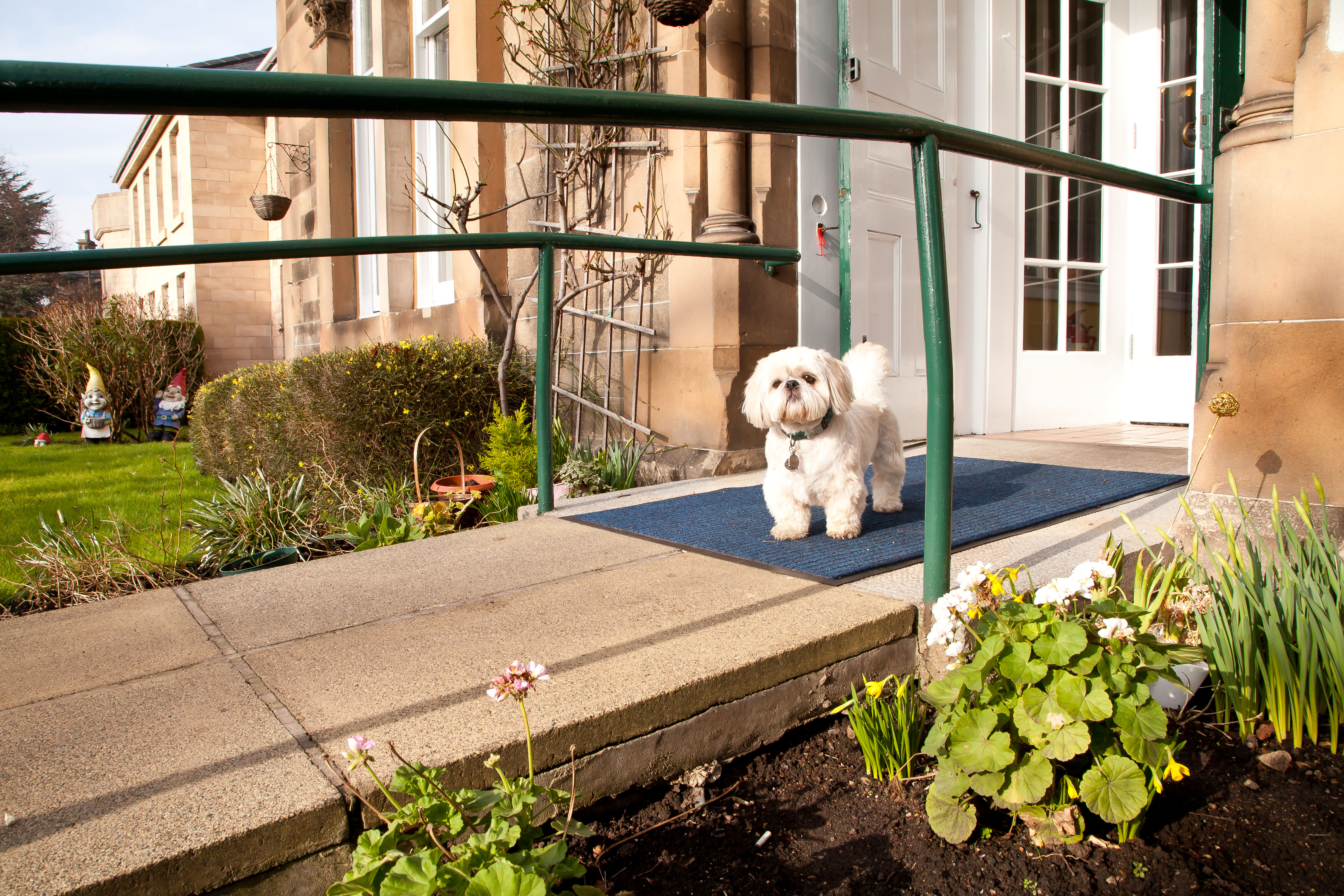 Published Information