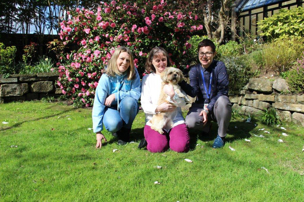 Introducing rescue dog Isaac