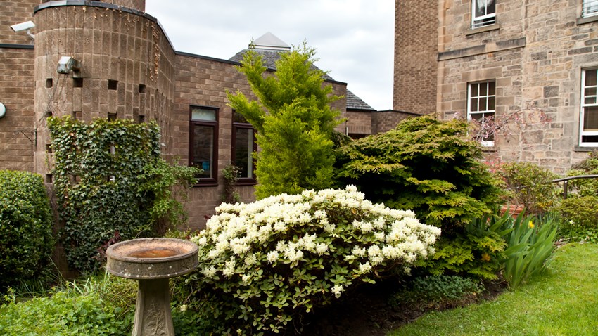 Viewpoint appoints new CEO