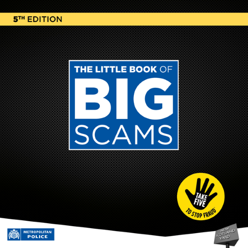 The Little Book of Big Scams